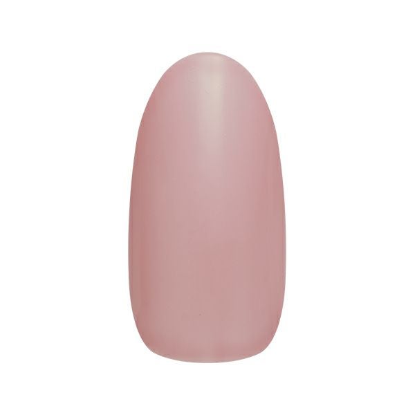 ネイルパフェ ハイグロストップジェル2g(High-gloss Top) | ネイル
